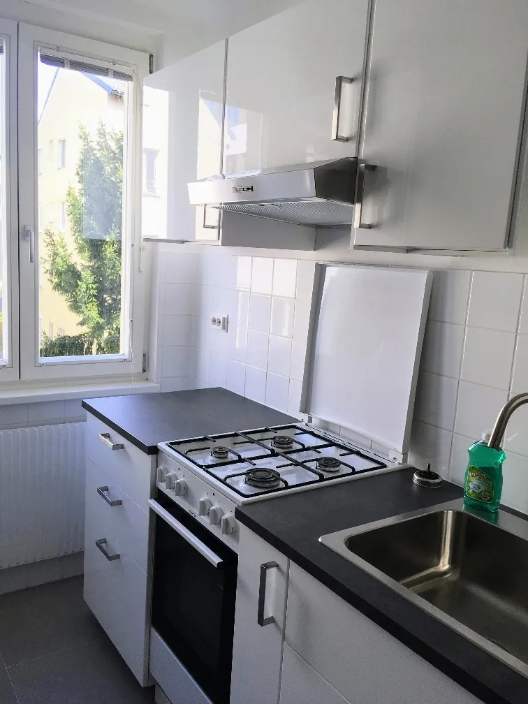 60 m², 2 ZI, 1120, Nähe Schloß Hetzendorf, hofseitige Ruhelage - Ansicht 3