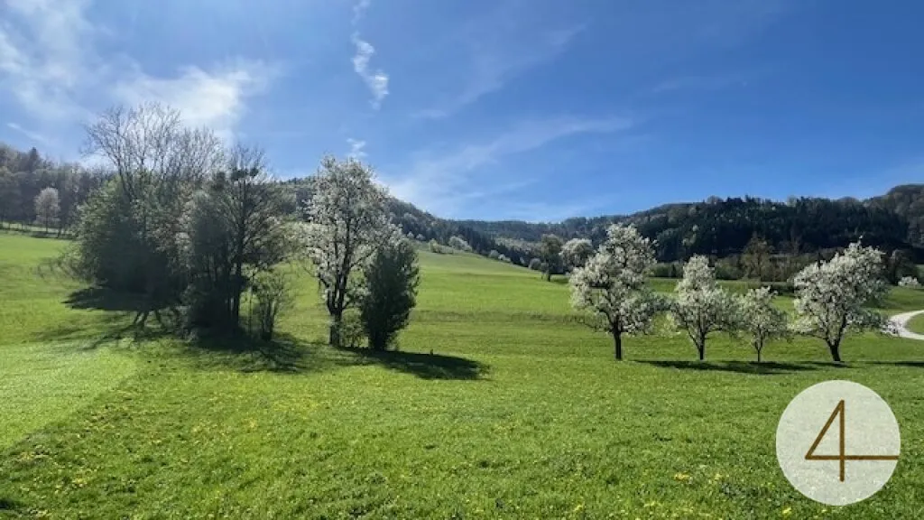 Bungalow in sonniger Lage - individuell planbar - Lehm für Ihre Wohngesundheit - Ansicht 2