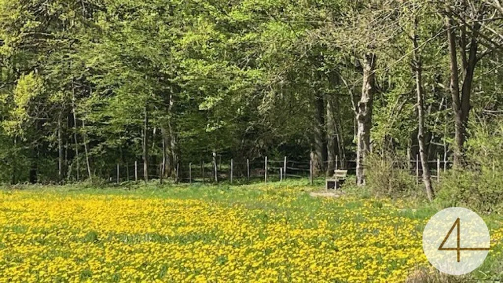 Bungalow in sonniger Lage - individuell planbar - Lehm für Ihre Wohngesundheit - Ansicht 3
