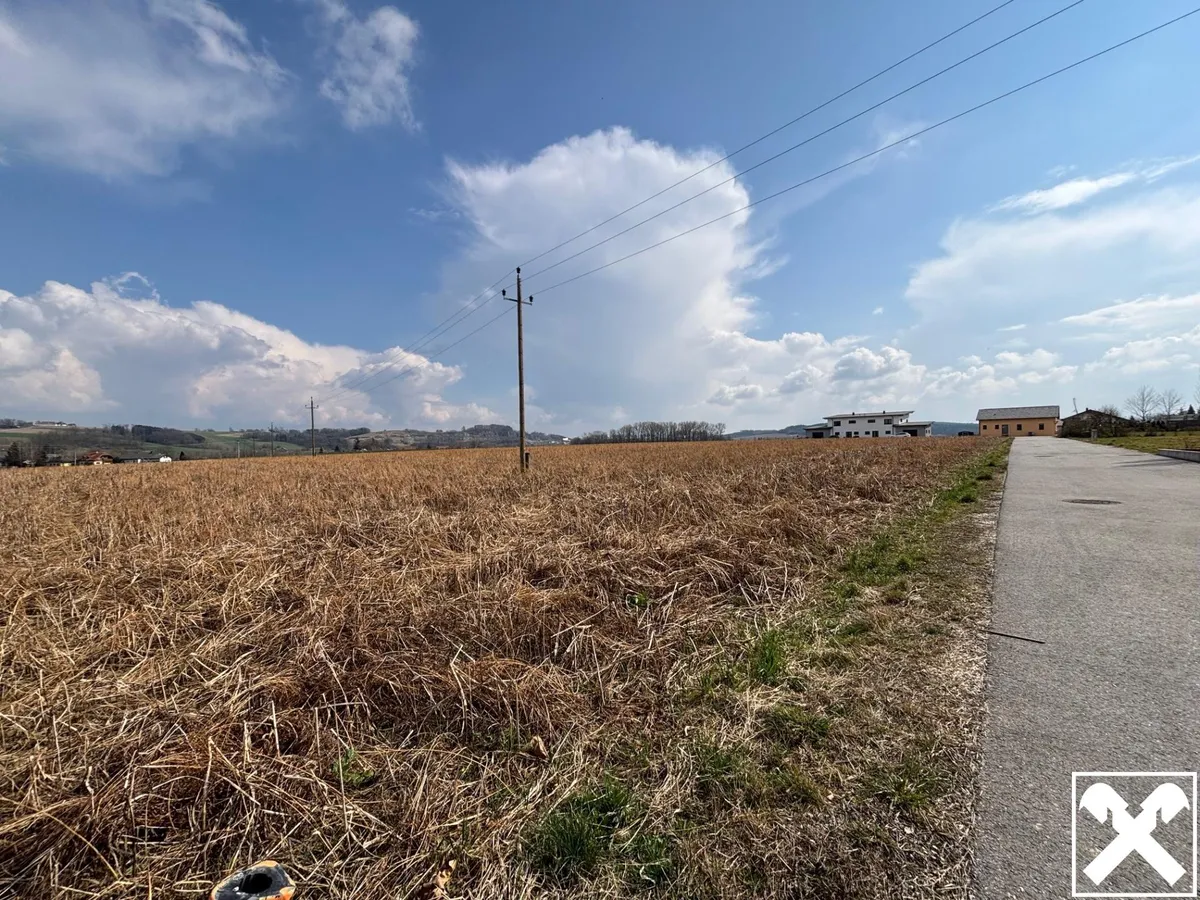 Baugrund sonnige und ebene Lage in Haid - Ansicht 2