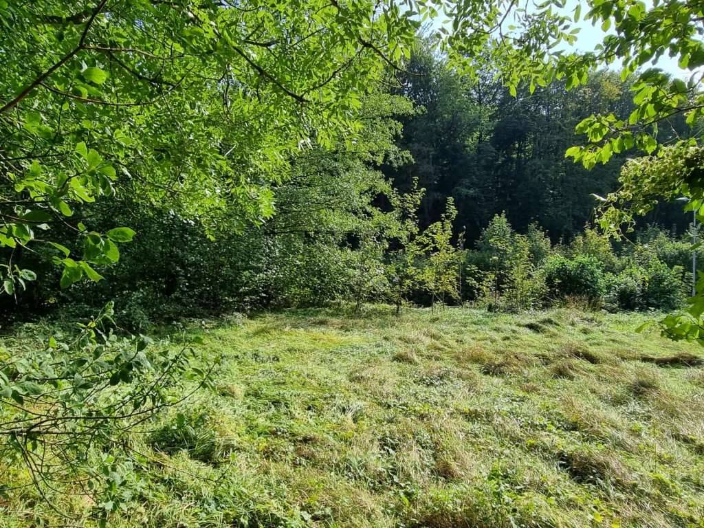 BAUGRUND IN SONNIGER, RUHIGER LAGE - Ansicht 3