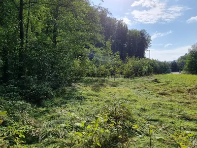 Grundstück kaufen in Sankt Pölten Land – 700 m², € 198.000 – Bild 4 von 8