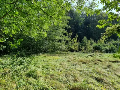 Grundstück kaufen in Sankt Pölten Land – 700 m², € 198.000 – Bild 3 von 8