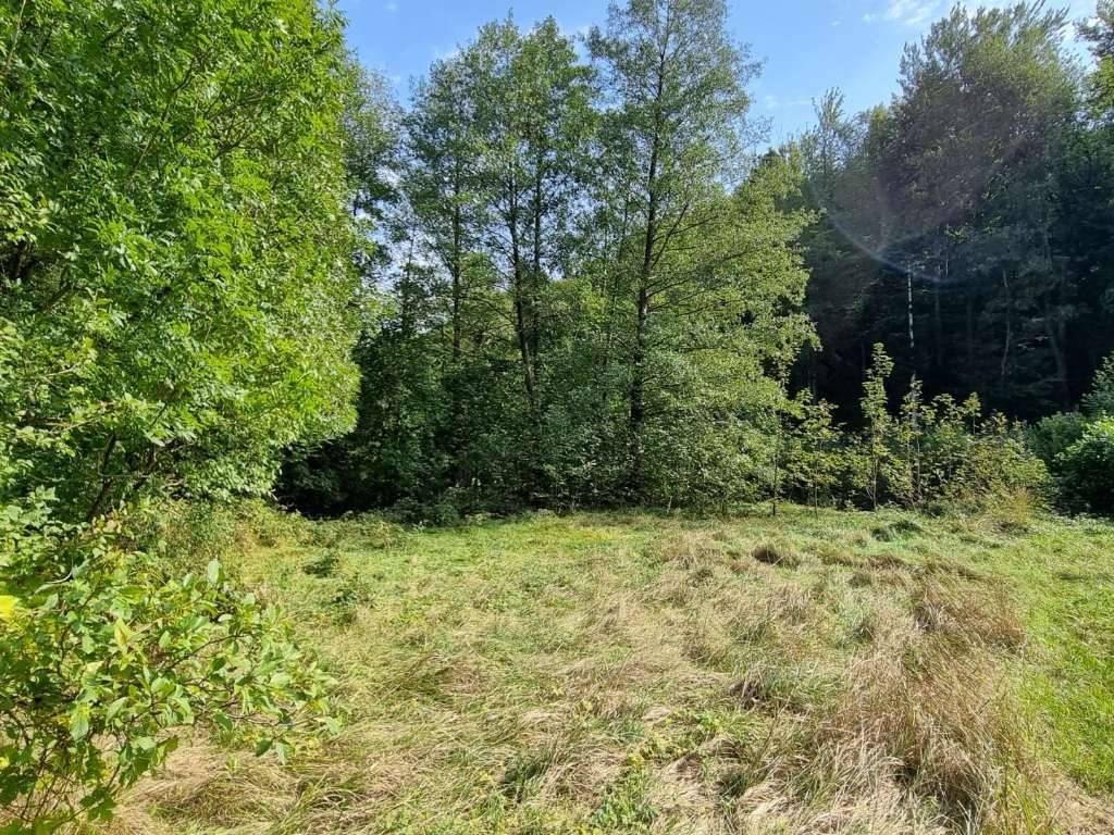 BAUGRUND IN SONNIGER, RUHIGER LAGE - Ansicht 2