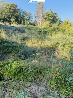 Grundstück kaufen in Tulln – 1 978 m², € 498.000 – Bild 5 von 8