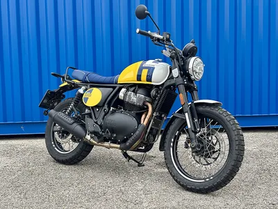 Royal Enfield Bear 650 Wild Honey