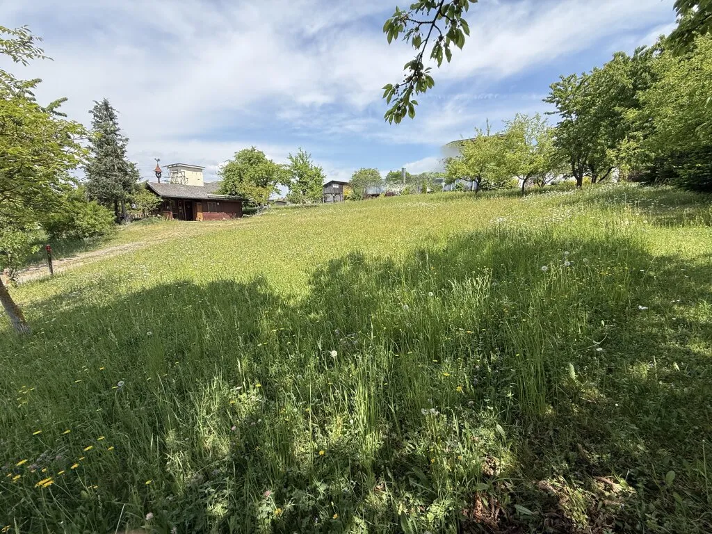 Teilbares Grundstück ohne Bauzwang mit Alpenblick in Südhanglage von Wartberg ob der Aist - Ansicht 3