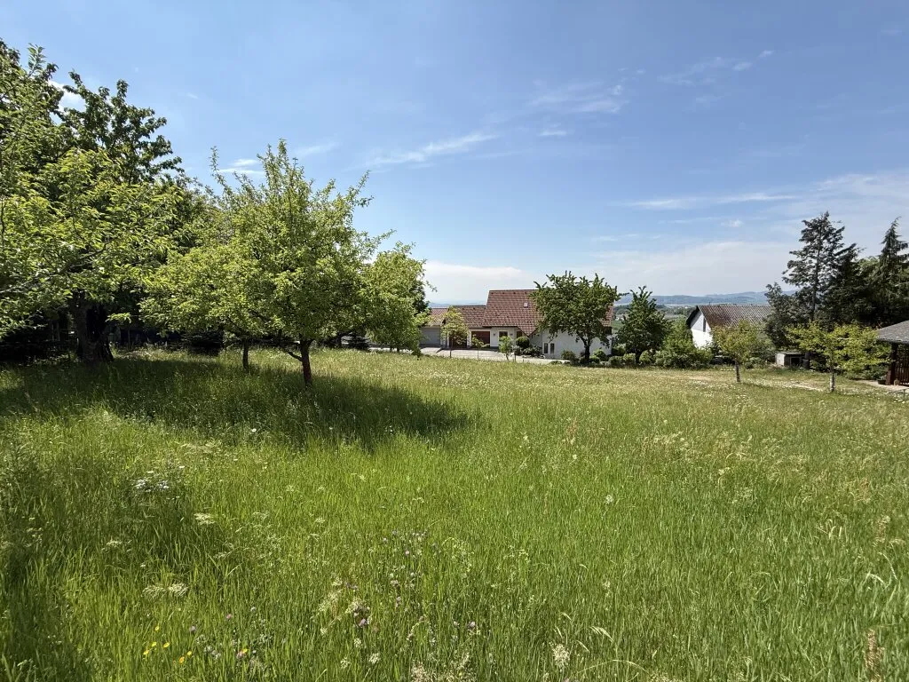 Teilbares Grundstück ohne Bauzwang mit Alpenblick in Südhanglage von Wartberg ob der Aist - Ansicht 2