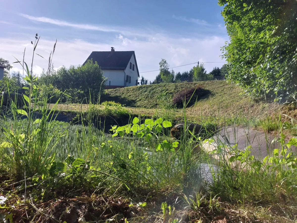 vom Teichgrundstück zum genehmigten Architektenhaus mit Terrasse über Teich - Ansicht 2