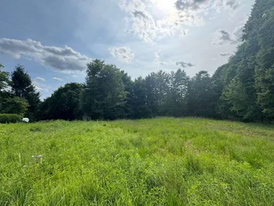 Grundstück kaufen in Hartberg-Fürstenfeld – 8 333 m², € 149.000 – Bild 5 von 14