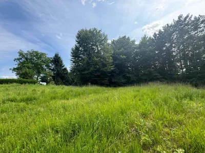 Grundstück kaufen in Hartberg-Fürstenfeld – 8 333 m², € 149.000 – Bild 6 von 14