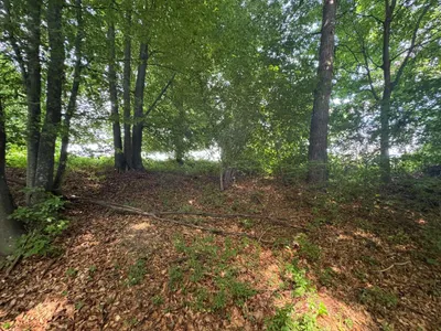 Grundstück kaufen in Hartberg-Fürstenfeld – 8 333 m², € 149.000 – Bild 10 von 14
