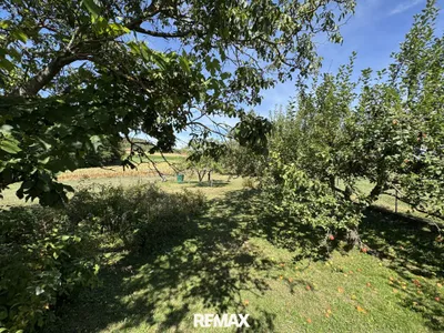 6-Zimmer-Haus kaufen in Südoststeiermark – 144 m², € 299.000 – Bild 9 von 34