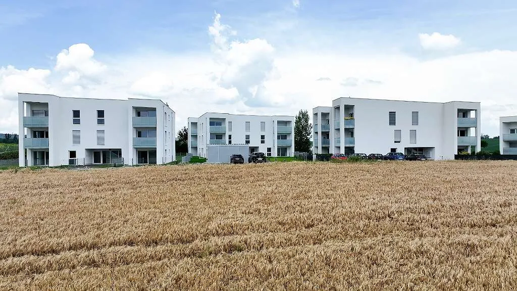 Wohnung – Grieskirchen - Ansicht 3