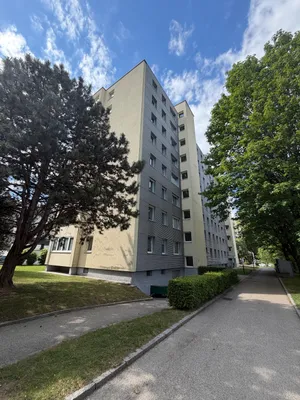 Wohnung kaufen in Linz – 311 m², € 496.000 – Bild 3 von 4