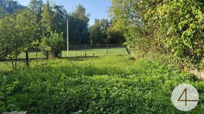 Grundstück kaufen in Wels-Land – 7 338 m² – Bild 6 von 14