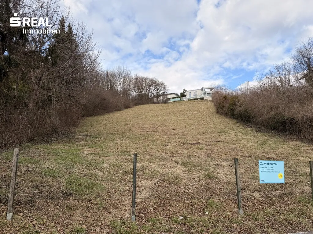 Traumgrundstück am Ölberg im Bieterverfahren - Widok 3