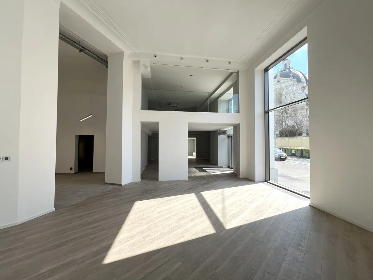 Modernes Loft-Geschäftslokal vis-a-vis Unteres Belvedere - Ansicht 3
