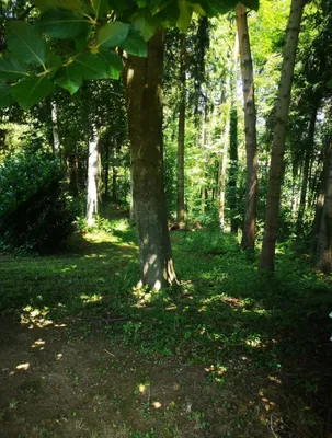 5-Zimmer-Haus kaufen in Graz-Umgebung – 70 m², € 295.000 – Bild 12 von 13