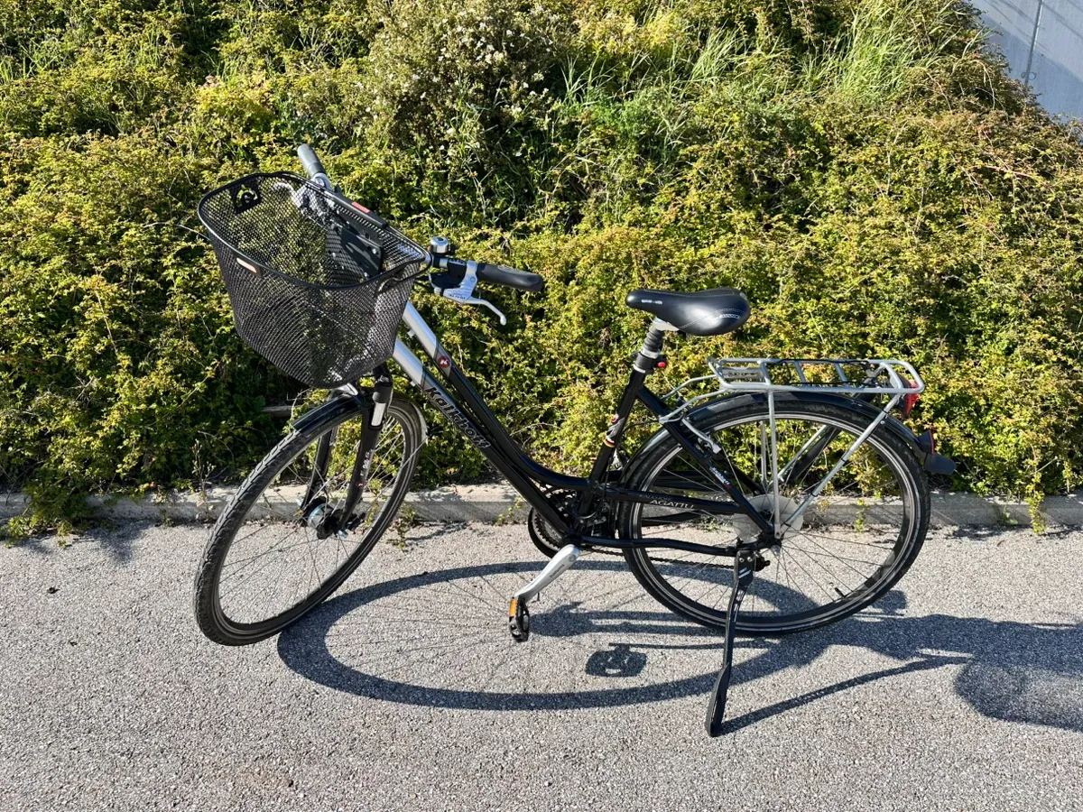 e mountainbike aktion CORE MTB E-Bike 2026 | Panasonic 100Nm Electric Mountain Bikes | preiswerte Mülltonnenbox Ausführung:Seegras