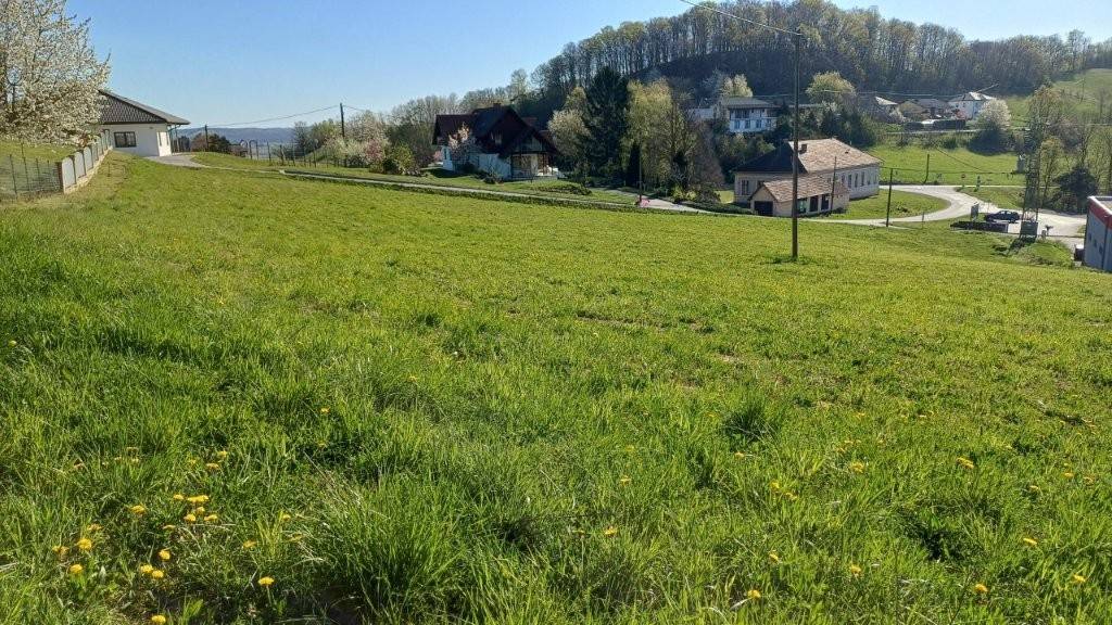 Henndorf im Südburgenland: Ca. 3.980 m² Bauland in erhöhter Lage nahe Bad Loipersdorf & S7 - KEIN Bauzwang - Teilflächen erwerbbar! - Ansicht 2