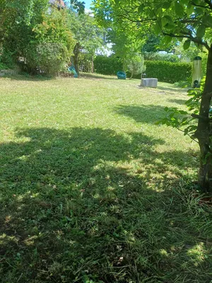 7-Zimmer-Haus kaufen in Linz Land – 300 m², € 450.000 – Bild 27 von 28