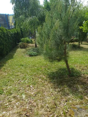 7-Zimmer-Haus kaufen in Linz Land – 300 m², € 450.000 – Bild 26 von 28