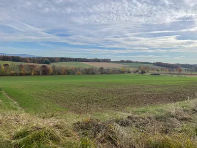 Grundstück kaufen in Oberwart – 979 m², € 152.000 – Bild 2 von 3