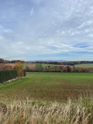 Grundstück kaufen in Oberwart – 979 m², € 152.000