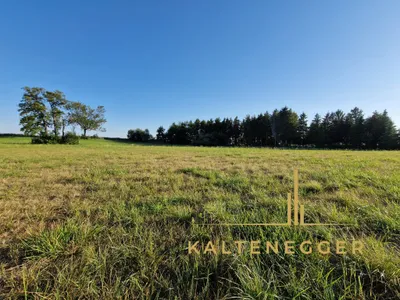 Grundstück kaufen in Wiener Neustadt Land – 3 260 m², € 277.000 – Bild 5 von 12