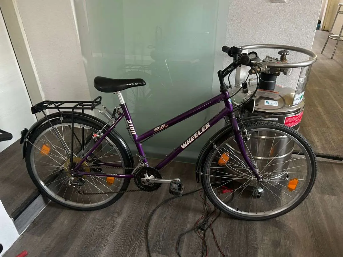 rossmann fahrradsattel regenschutz Herren Damen Bequem, Trekking MTB Sattel Fahrrad Sattel Mountainbike Fahrradsitz mit Reflektor, Hohl Ergonomisch Memory Foam Trekkingsattel für E-Bike Trekkingrad Tourenrad Sport & Freizeit Basil Miles Tarpaulin Nordlicht Category:Trekkingrad_CFP Comfort Ergonomic Grip Auswahl:GPS Tracker - Einbau mit Chipolo POP für Apple 