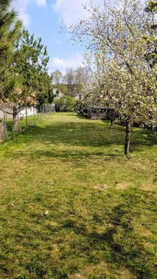 5-Zimmer-Haus kaufen in Mistelbach – 130 m², € 242.000 – Bild 3 von 11