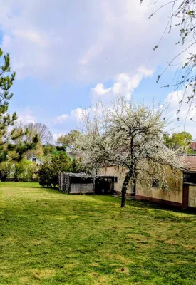 5-Zimmer-Haus kaufen in Mistelbach – 130 m², € 242.000 – Bild 4 von 11