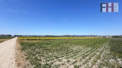 Immobilie kaufen in Neusiedl am See – 49 526 m², € 480.000 – Bild 7 von 7