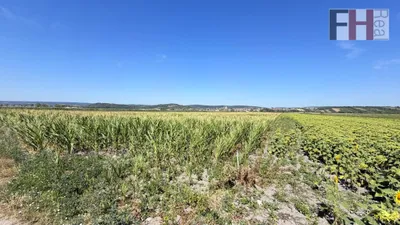 Immobilie kaufen in Neusiedl am See – 49 526 m², € 480.000 – Bild 3 von 7