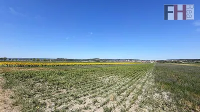 Immobilie kaufen in Neusiedl am See – 49 526 m², € 480.000 – Bild 6 von 7