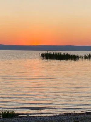 Wohnung kaufen in Neusiedl am See – 30 m², € 40.000 – Bild 6 von 8
