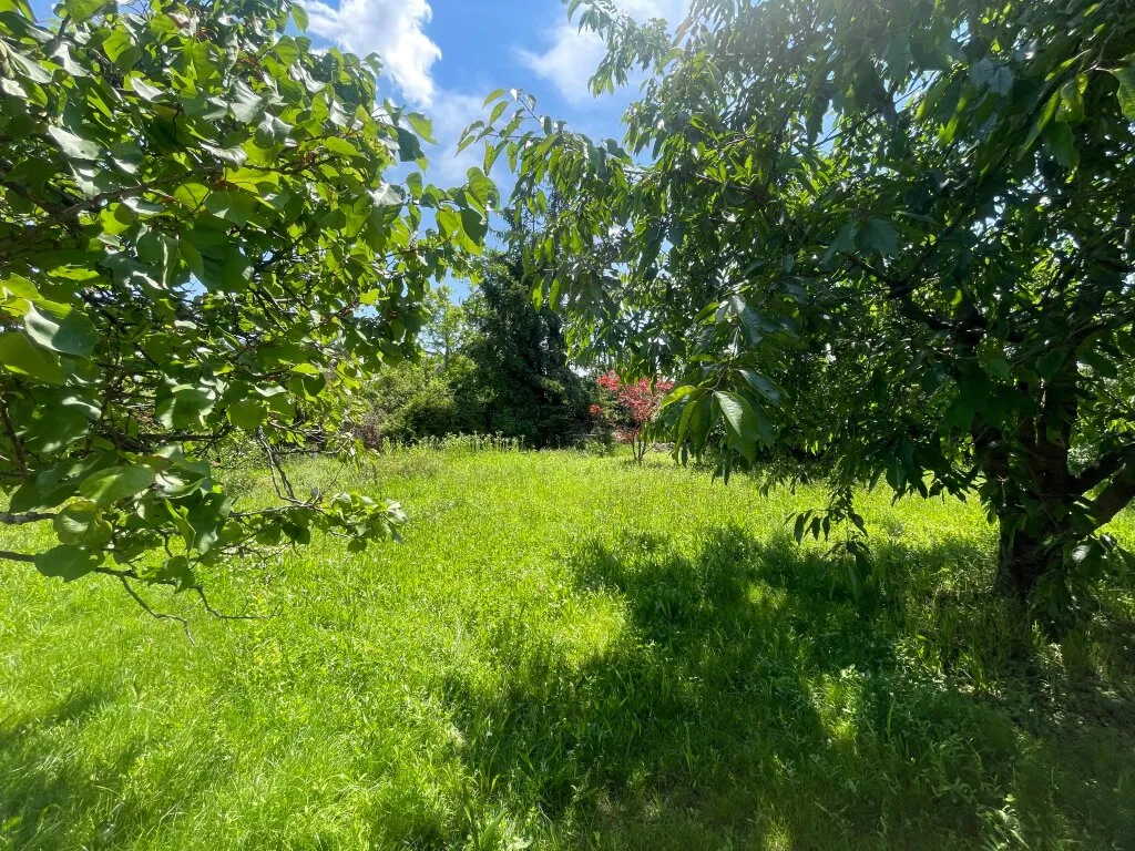 Wohnung – Maria Enzersdorf - Ansicht 2