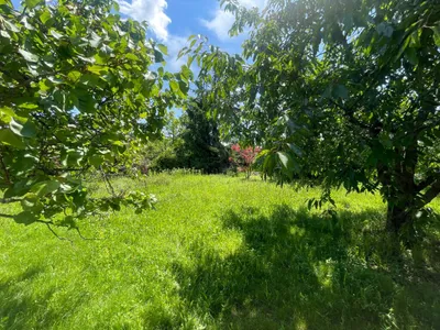 1-Zimmer-Wohnung kaufen in Mödling – 30,95 m², € 225.700 – Bild 2 von 5