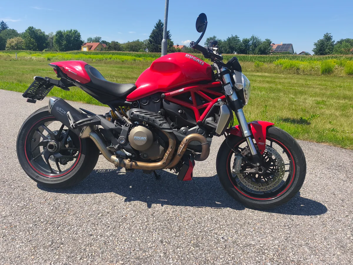 Ducati Monster