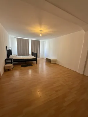 Ab sofort zu vermieten - Helle 78 m² Wohnung in 1020 Wien (Radingerstraße)