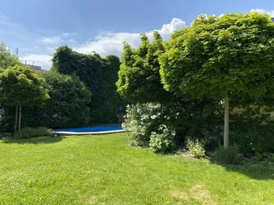 12-Zimmer-Gewerbeimmobilie kaufen in Wels – 364 m², € 1.700.000 – Bild 34 von 39