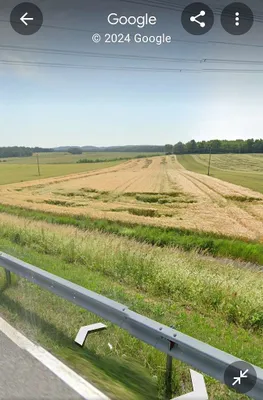 Grundstück kaufen in Oberpullendorf – 16 920 m² – Bild 1 von 3