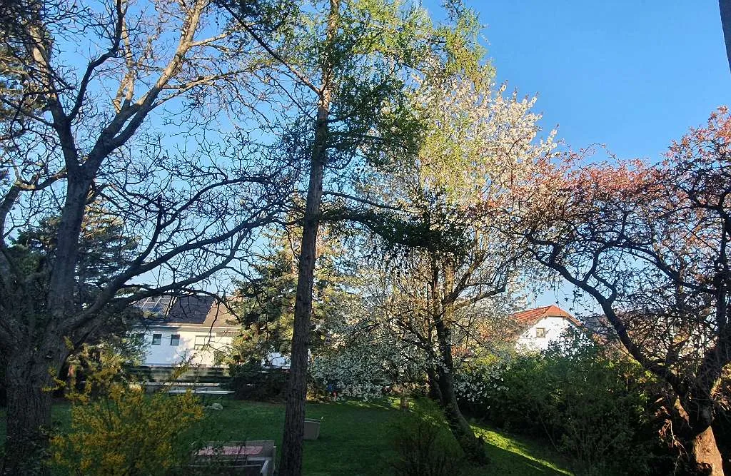 Filetstück für Mehrfamilien-Objekt: 583 m² Baugrund mit herrlichem Baumbestand in Guntramsdorf - PROVISIONSFREI - Ansicht 2