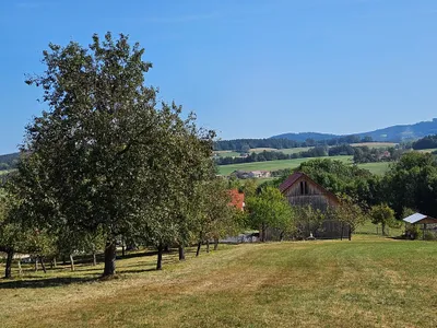 6-Zimmer-Haus mieten in Schärding – 130 m², € 1.200 – Bild 13 von 16