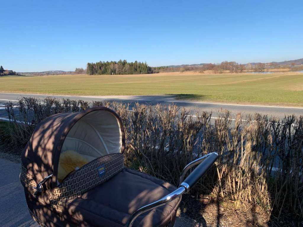 schafwolle dünger erdbeeren Bio-Erdbeer-Dünger kaufen main image 1