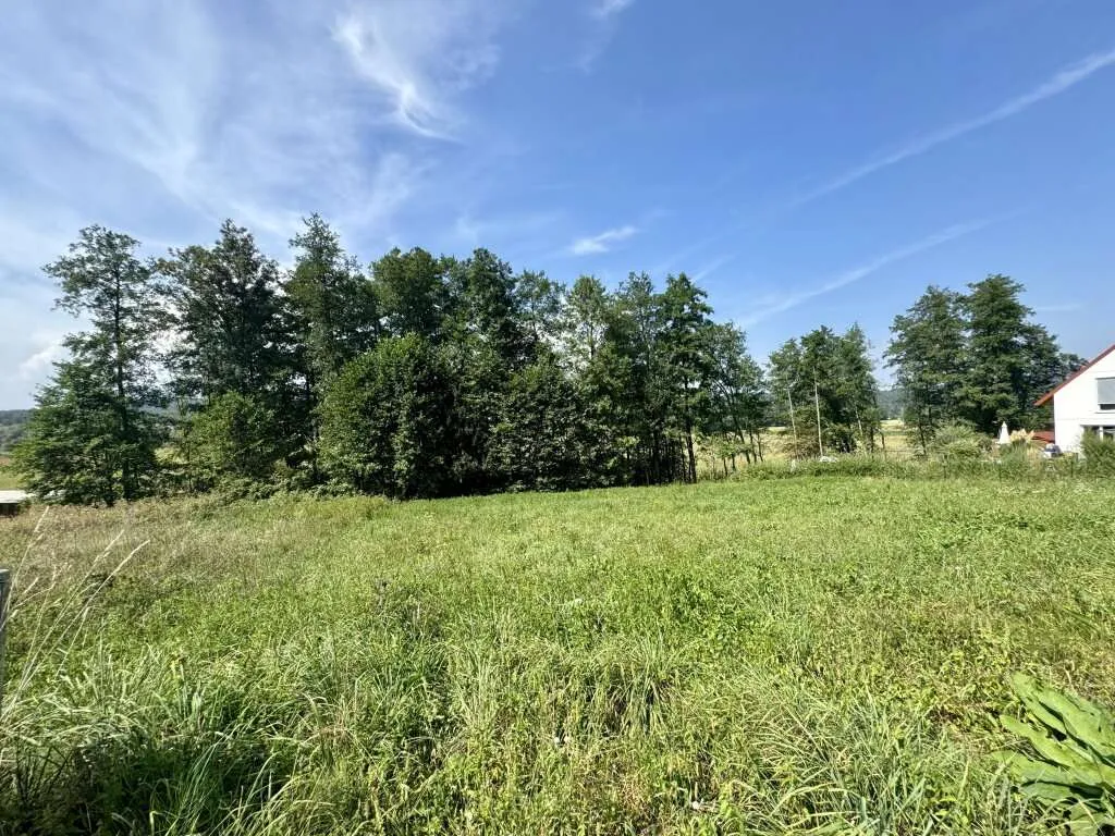 Sankt Johann im Saggautal! Traumhaftes Baugrundstück in malerischer Lage inkl. Bauplan - Ansicht 3