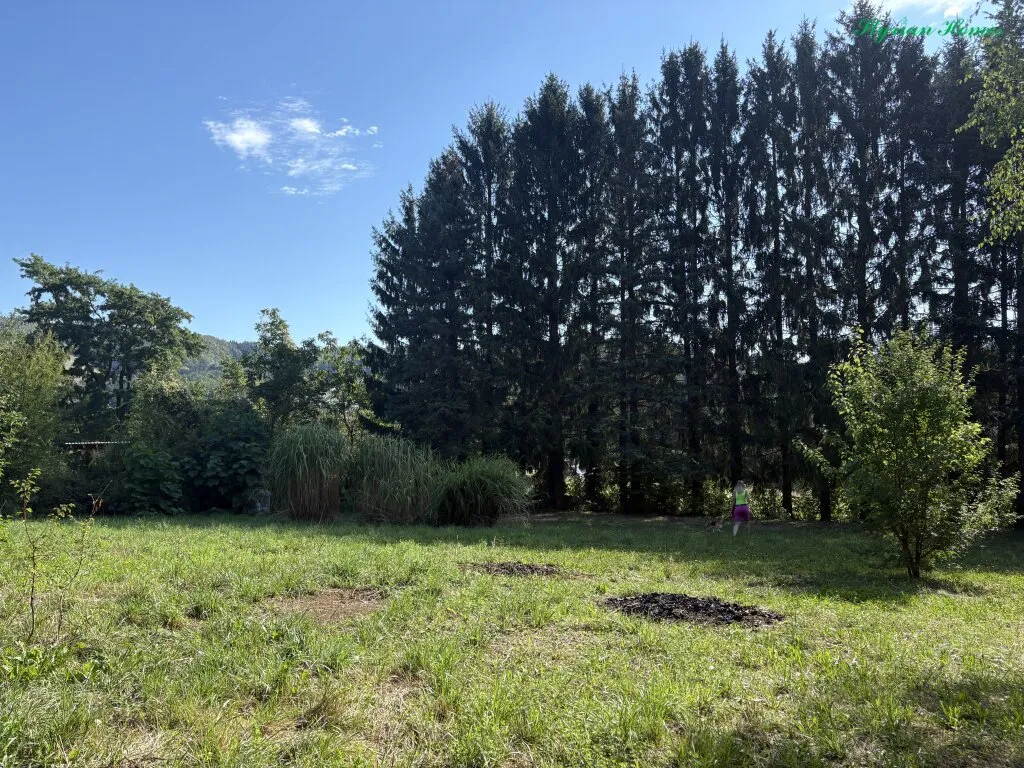 1500 m² in Bestlage in Graz-Andritz! - Ansicht 3