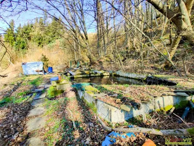Grundstück kaufen in Wels-Land – 5 113 m², € 259.000 – Bild 17 von 19