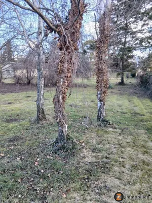 Grundstück kaufen in Bruck an der Leitha – 2 714 m² – Bild 4 von 5